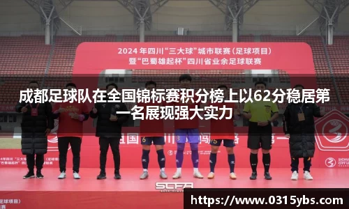 成都足球队在全国锦标赛积分榜上以62分稳居第一名展现强大实力
